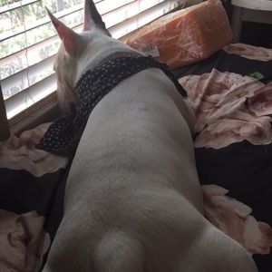 Meet your Posher, Mia